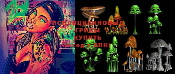ешки Алексин