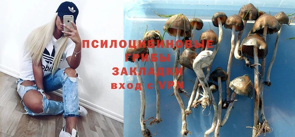 ГАЛЛЮЦИНОГЕННЫЕ ГРИБЫ Алзамай