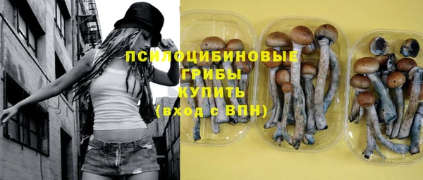 первитин Горняк