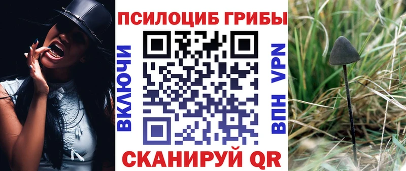 Галлюциногенные грибы прущие грибы  Ува 